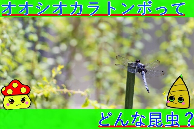 Thumbnail of post image 009